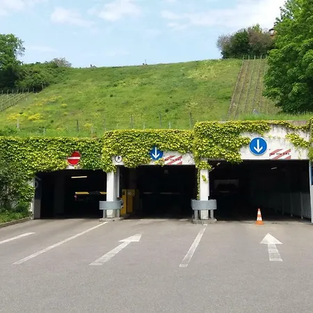 祖默斯切夫弗莱尔酒店 梅尔斯堡